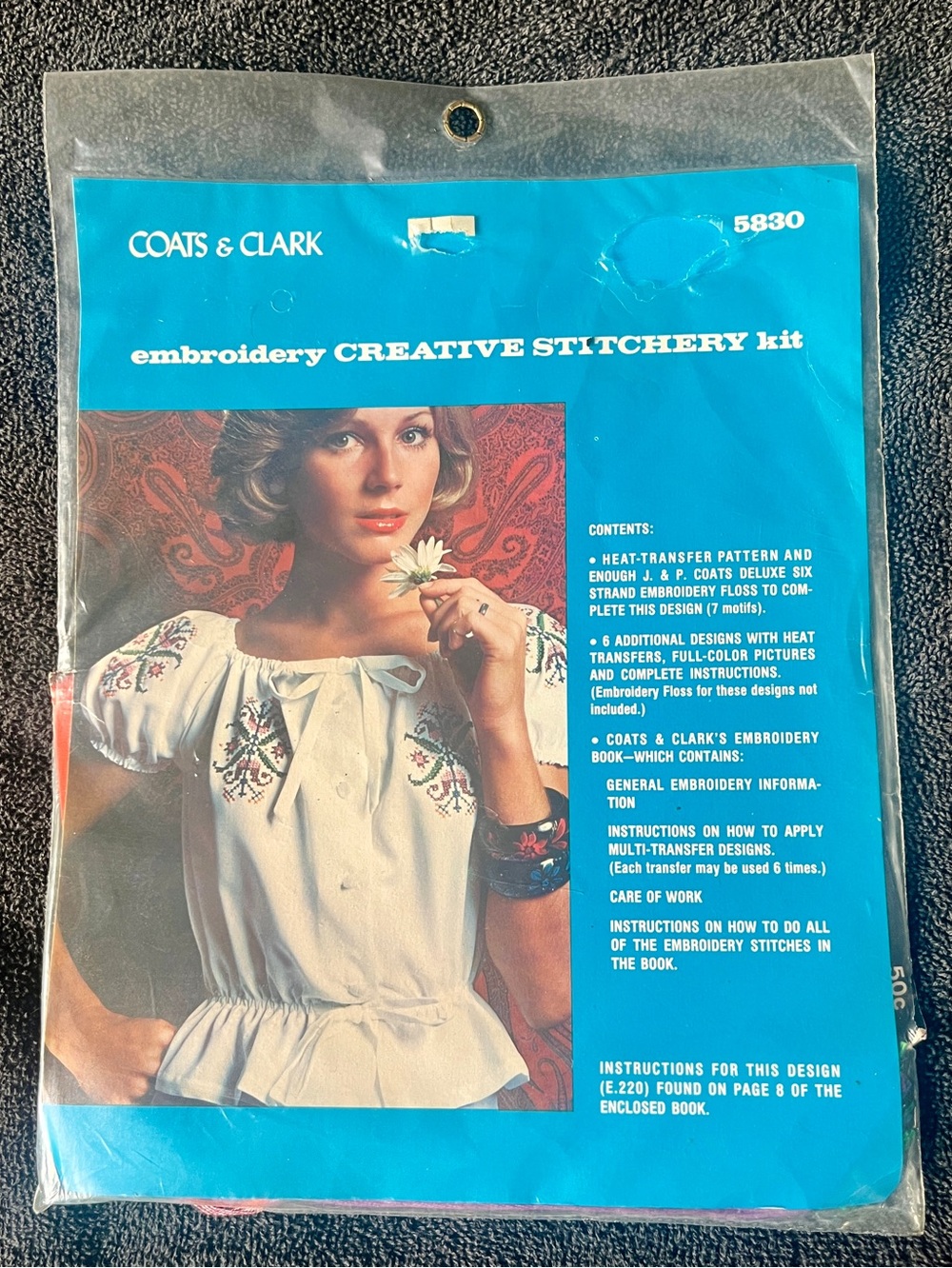 Coats & Clark Embroidery Creative Stitchery Kit 5830